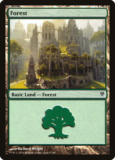 Forest — Duel Decks: Jace vs. Vraska #87, art by Richard Wright