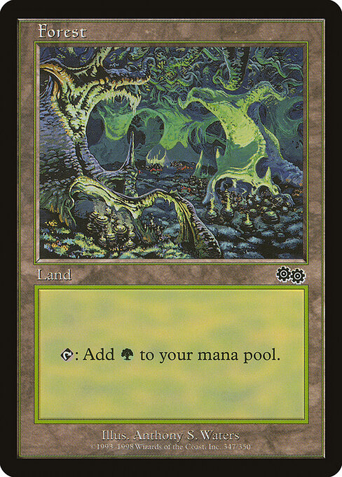 Forest — Urza's Saga #347, art by Anthony S. Waters