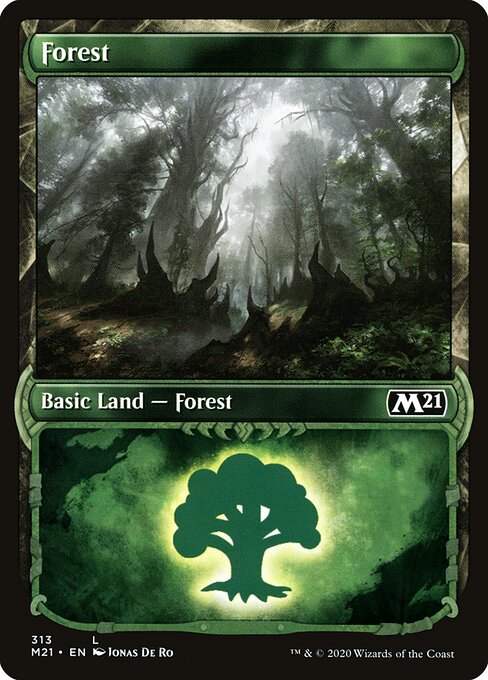 Forest — Core Set 2021 #313, art by Jonas De Ro