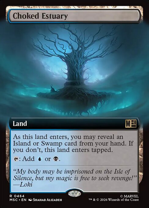 Choked Estuary