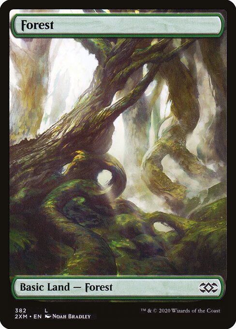Forest — Double Masters #382, art by Noah Bradley