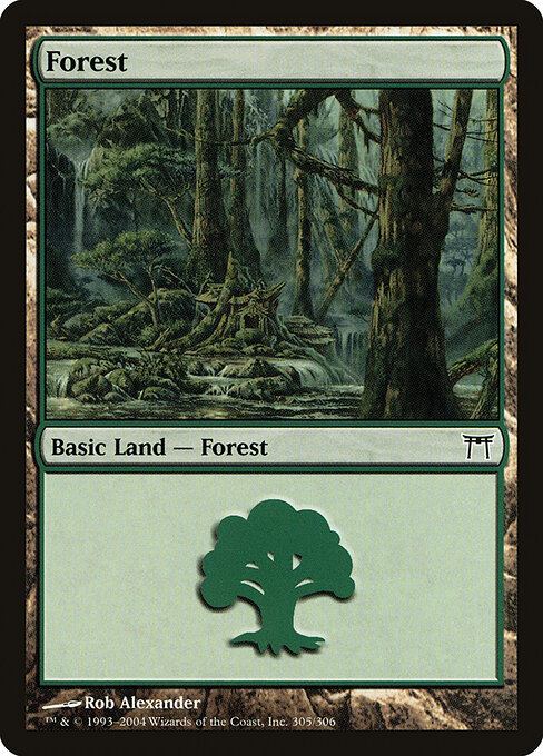 Forest — Champions of Kamigawa #305, art by Rob Alexander