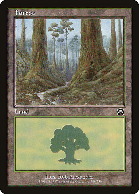 Forest — Mercadian Masques #349, art by Rob Alexander