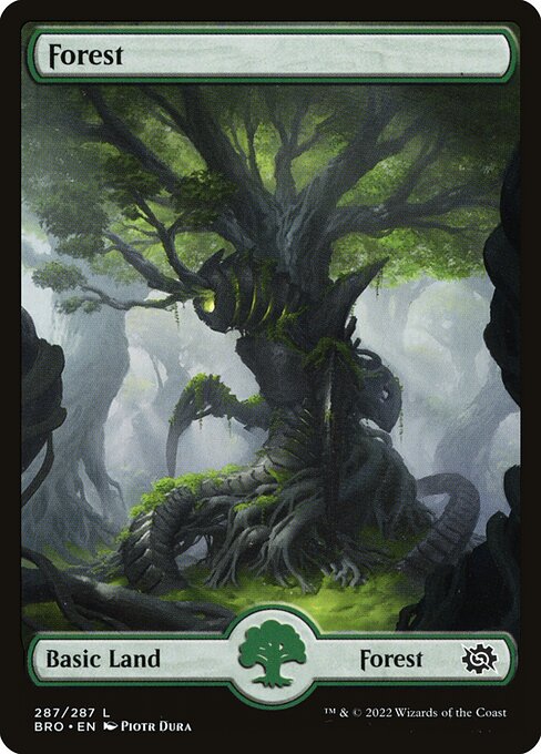 Forest — The Brothers' War #287, art by Piotr Dura