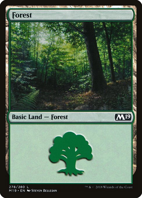 Forest — Core Set 2019 #278, art by Steven Belledin