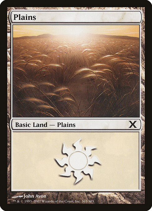 Plains — Tenth Edition #365, art by John Avon