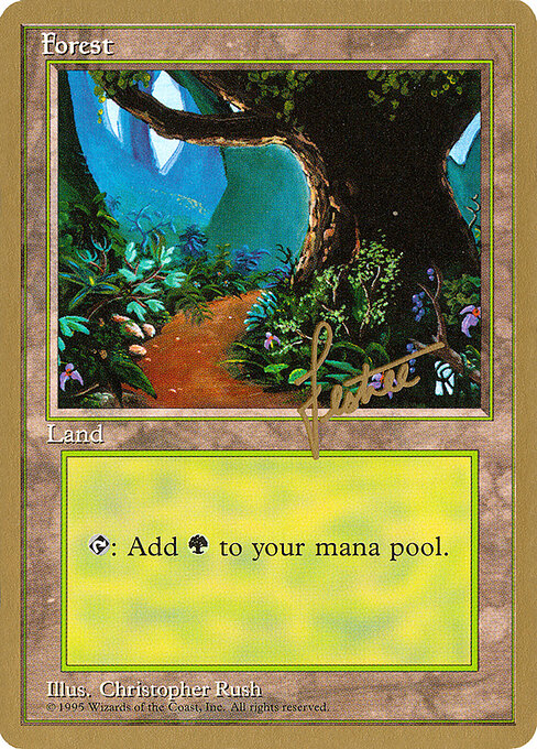 Forest — Pro Tour Collector Set #bl376, art by Christopher Rush