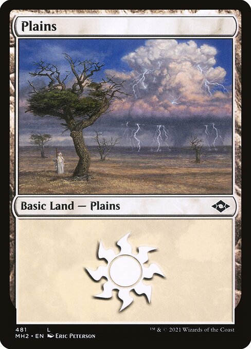 Plains — Modern Horizons 2 #481, art by Eric Peterson