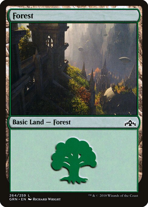 Forest — Guilds of Ravnica #264, art by Richard Wright