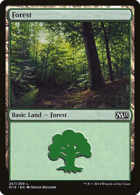 Forest — Magic 2015 #267, art by Steven Belledin