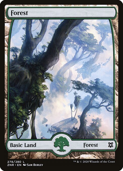 Forest — Zendikar Rising #278, art by Sam Burley