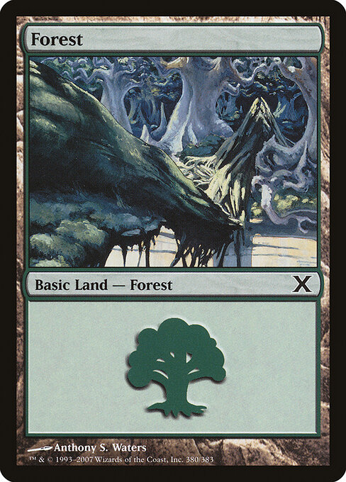 Forest — Tenth Edition #380, art by Anthony S. Waters
