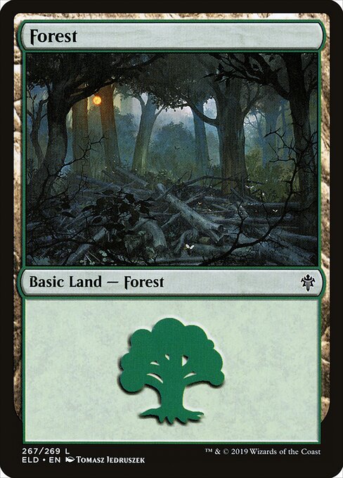 Forest — Throne of Eldraine #267, art by Tomasz Jedruszek
