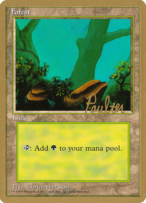 Forest — Pro Tour Collector Set #pp378, art by Christopher Rush