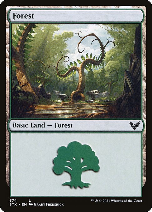 Forest — Strixhaven: School of Mages #374, art by Grady Frederick