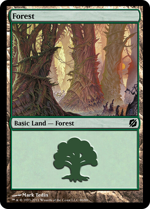 Forest — Duel Decks: Mirrodin Pure vs. New Phyrexia #86, art by Mark Tedin