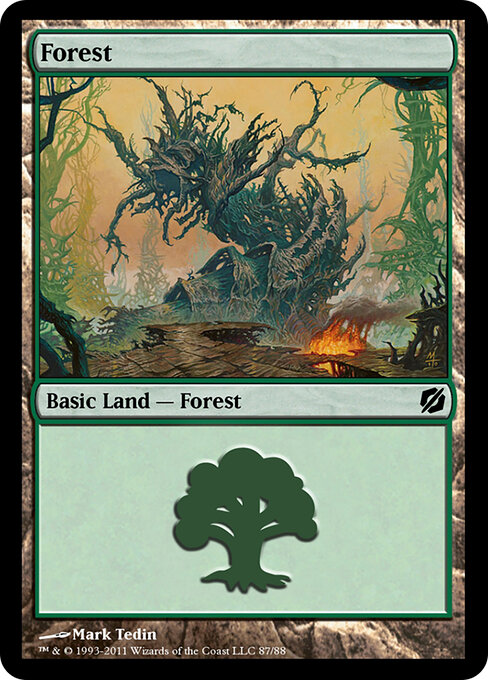 Forest — Duel Decks: Mirrodin Pure vs. New Phyrexia #87, art by Mark Tedin