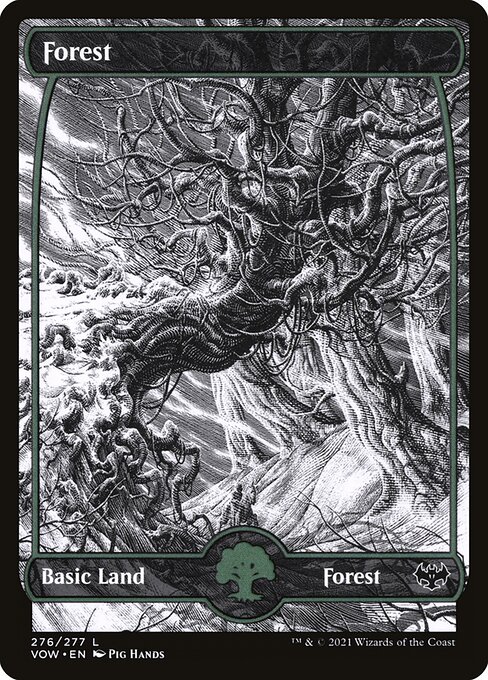 Forest — Innistrad: Crimson Vow #276, art by Pig Hands