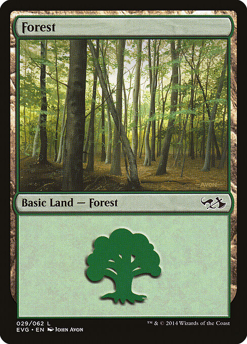 Forest — Duel Decks Anthology: Elves vs. Goblins #29, art by John Avon