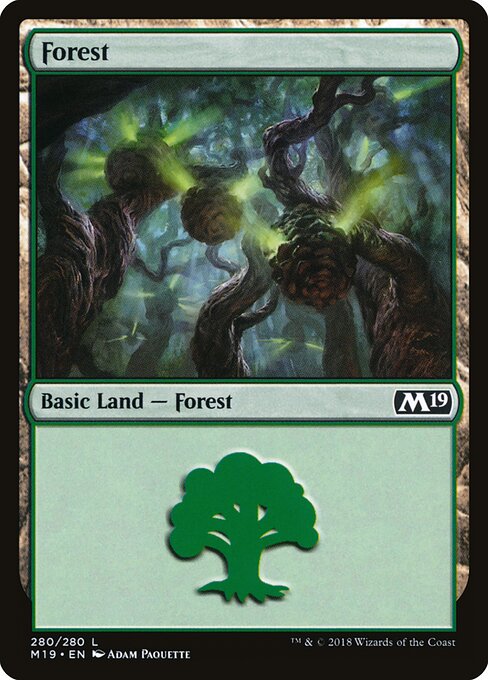 Forest — Core Set 2019 #280, art by Adam Paquette
