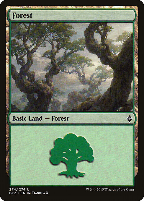 Forest — Battle for Zendikar #274a, art by Tianhua X