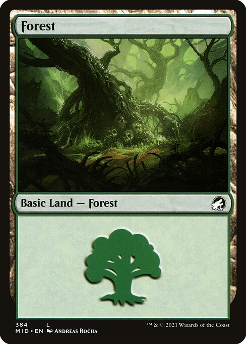 Forest — Innistrad: Midnight Hunt #384, art by Andreas Rocha