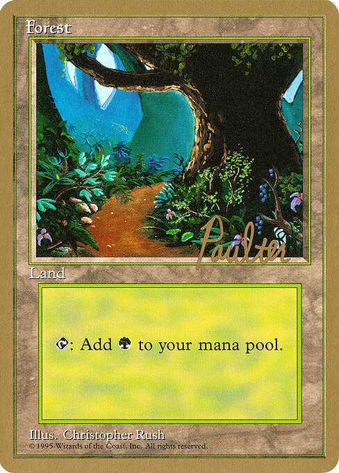 Forest — Pro Tour Collector Set #pp376, art by Christopher Rush