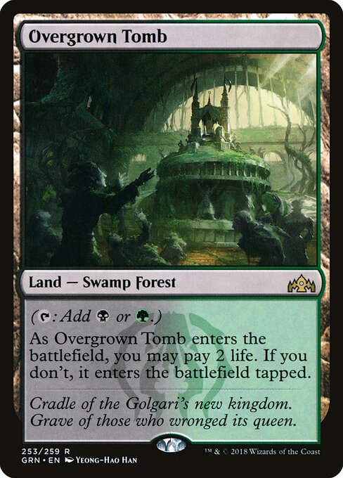 Overgrown Tomb — Guilds of Ravnica #253, art by Yeong-Hao Han