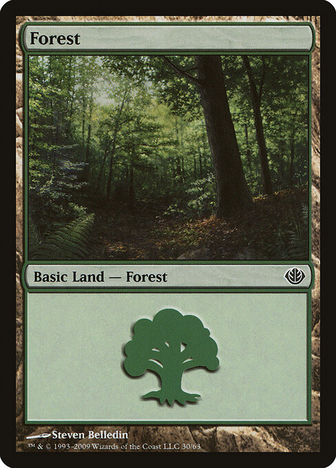 Forest — Duel Decks: Garruk vs. Liliana #30, art by Steven Belledin