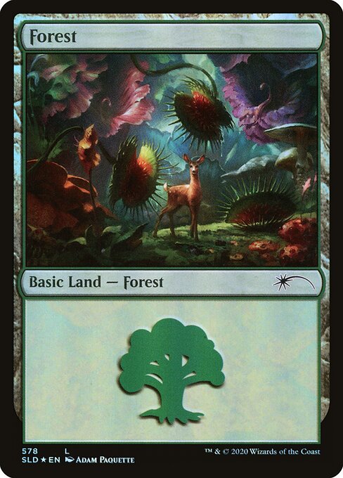 Forest — Secret Lair Drop #578, art by Adam Paquette