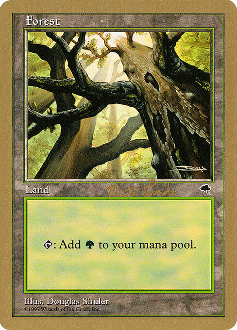 Forest — World Championship Decks 1999 #ml347a, art by Douglas Shuler