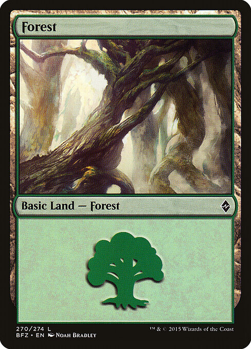 Forest — Battle for Zendikar #270a, art by Noah Bradley