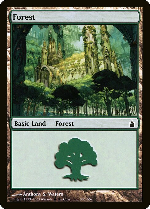 Forest — Ravnica: City of Guilds #305, art by Anthony S. Waters